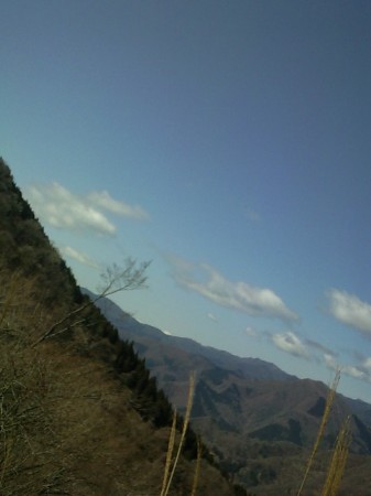 画像-0030