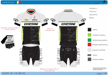 Chesini 2016 rev1